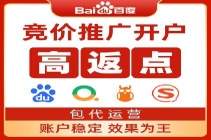 网络推广竞价策略案例分析